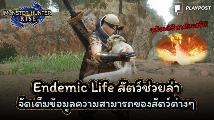 Monster Hunter Rise Endemic Life cover playpost