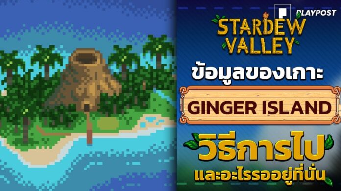 Stardaw Valley Ginger Island Cover playpost